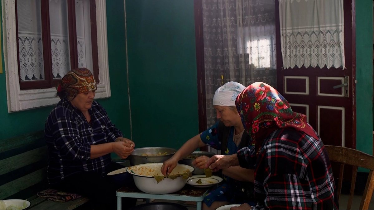 Groningse Nieuwe #144: Consider a Tomato